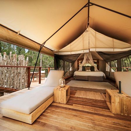 Hotel Paperbark Camp Woollamia Zewnętrze zdjęcie